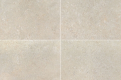 Livingstyle  Pearl - Glazed - Matte - 24X24, 18X36