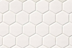 White Matte Hexagon Mosaic 2X2 - Porcelain - Matte - 12X12