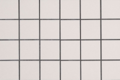 White Polished 2X2 - Porcelain - Polished - 12X12